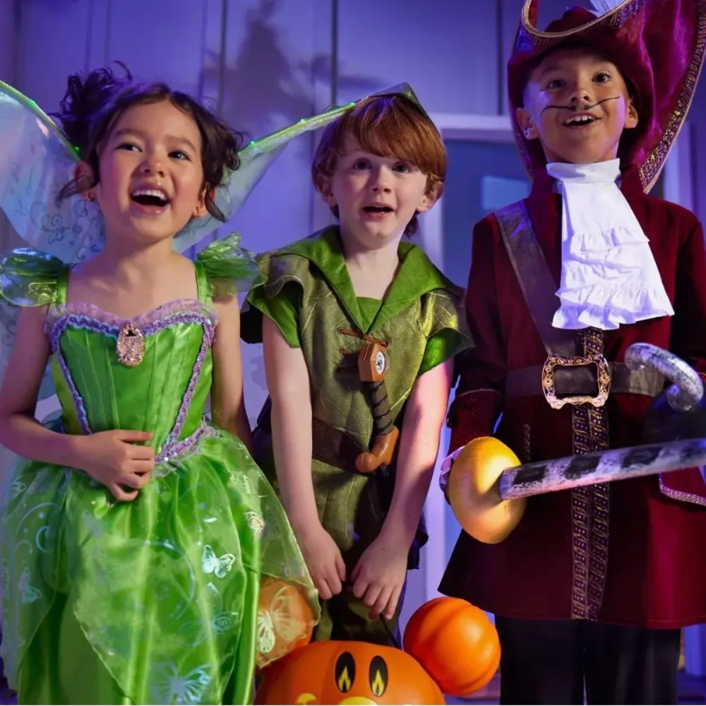 Disney Store Peter Pan Costume for Kids - Picture 1 of 3